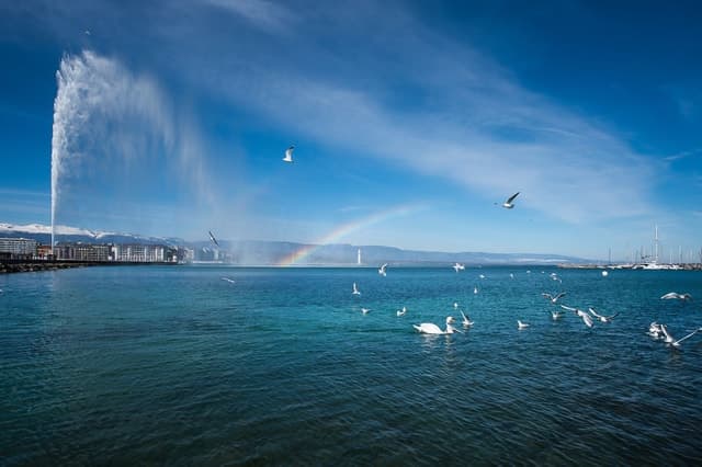 Best of Geneva City Tour: UN Area, Old Town & Boat Cruise