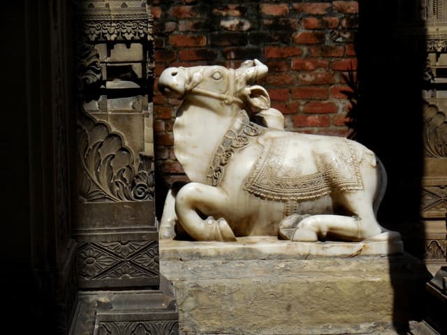Walking Tour in the old part of the city of Varanasi