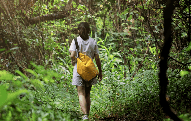Huatulco: National Park Hiking and Snorkeling Tour