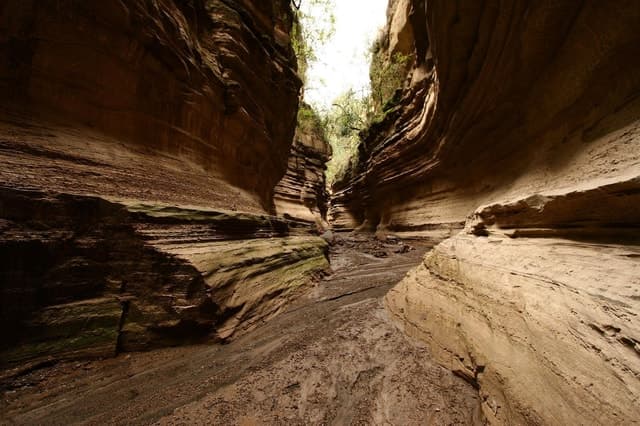 Hell's Gate National Park And Lake Naivasha Day Trip
