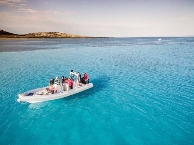 From Stintino: Half-day dinghy tour in Asinara Gulf