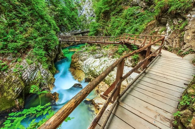Unforgettable Vintgar Gorge Nature Adventures in Bled