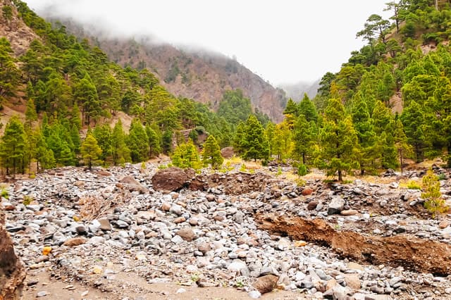 Compare Best Caldera de Taburiente Tours