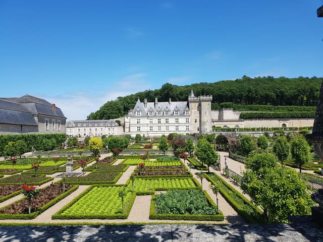 Compare Top Loire Valley Chateau Day Trips