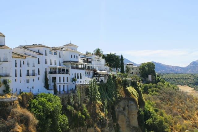 Best Malaga Day Trips from Seville: Coastal Adventures