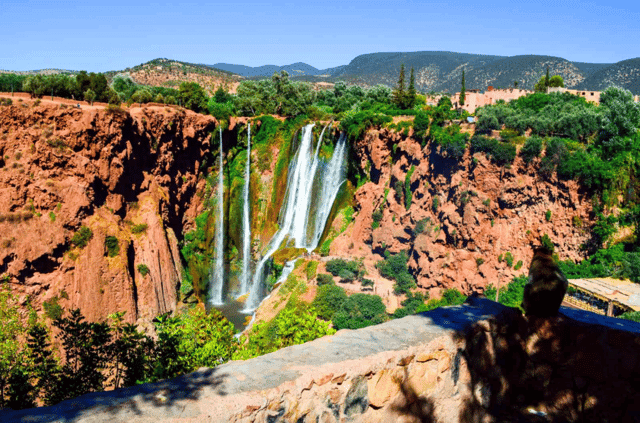From Marrakech: Ouzoud Waterfalls Local Guided and Boat Ride