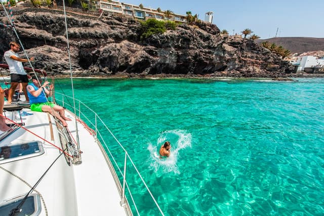 Best Marine Life Tours: Fuerteventura Dolphin Watching
