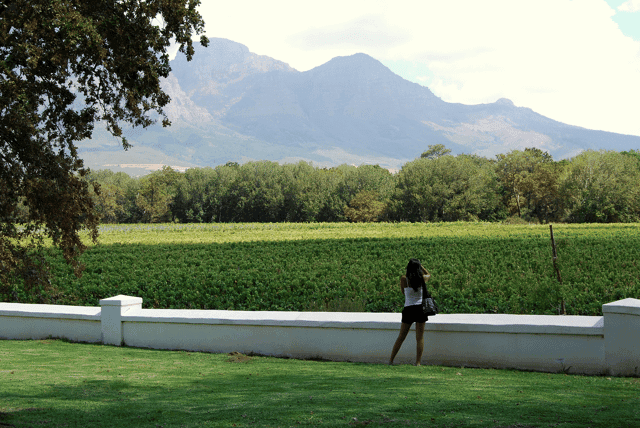 Explore Cape Winelands Tours from Cape Town