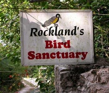 Rocklands Bird Sanctuary: 2-Hour Montego Bay Return Transfer