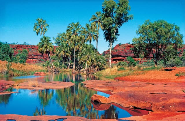 From Alice Springs: Palm Valley 4WD Outback Safari + Picnic