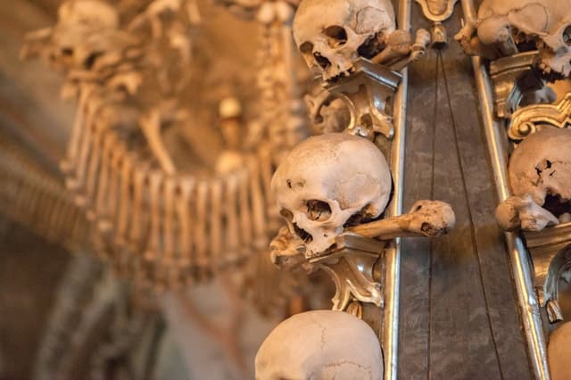 Best Kutna Hora Day Tours from Prague