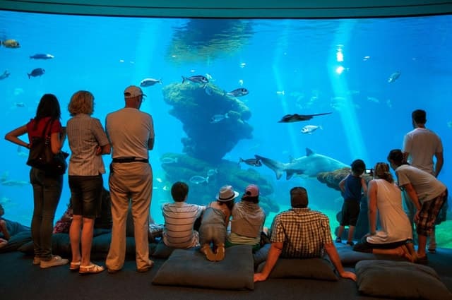 Mallorca: Palma Aquarium with Transfers, Guide & Fast Entry