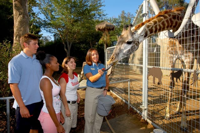 San Diego Zoo Admission Ticket