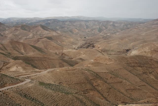 From Tel Aviv: Dead Sea Visit & Desert Safari