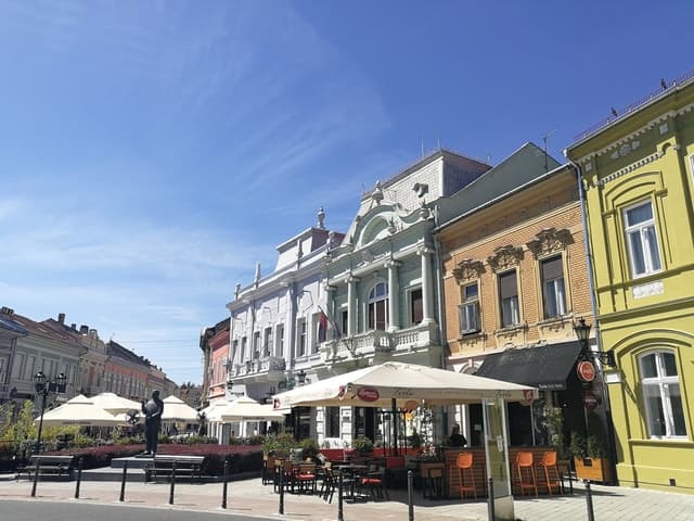 From Belgrade: Novi Sad & Fruska gora & winery and monastery