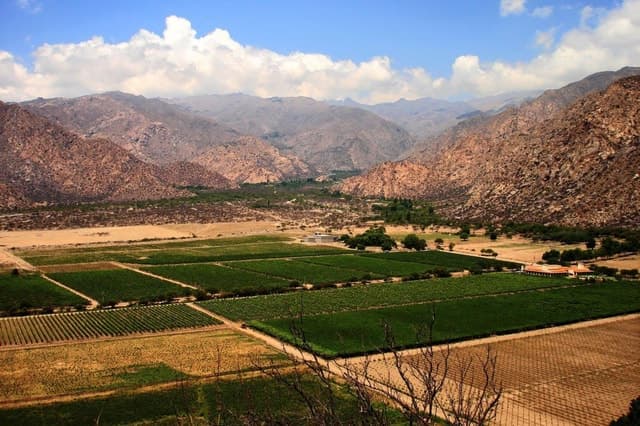 From Salta: The Calchaqui Valley Winery Tour in Cafayate