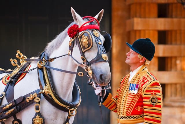 Buckingham Palace: The Royal Mews Entrance Ticket