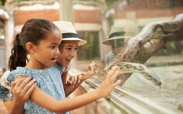 Dublin Zoo: Skip-the-Line Tickets with Private Transfers
