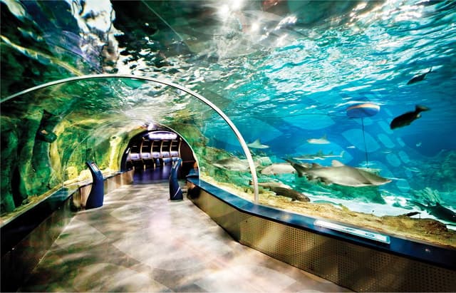 Istanbul Aquarium and Aqua Florya Shopping Mall Tour