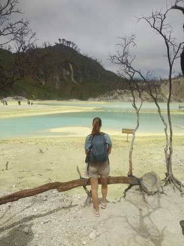Bandung : White Crater, Tea Plantation Tour Guide Bandung