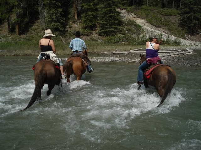 Unforgettable Horse Riding Tours in Marmaris