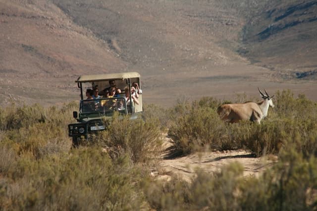 Aquila Game Reserve Safaris near Cape Town