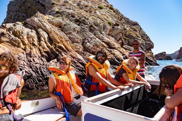 Best Berlengas Island Day Trips from Lisbon
