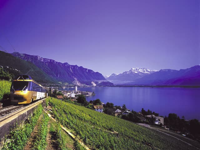 From Lausanne: Gruyères Tour with Train, Chocolate & Cheese