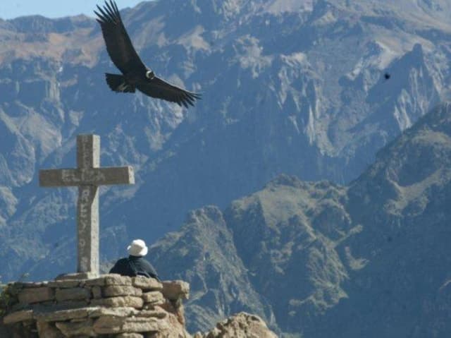 Full-Day Colca Canyon Tour from Arequipa
