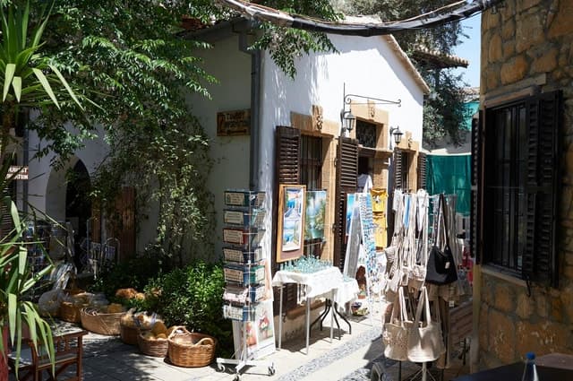 Top-Rated Nicosia Walking Tours in Ayia Napa