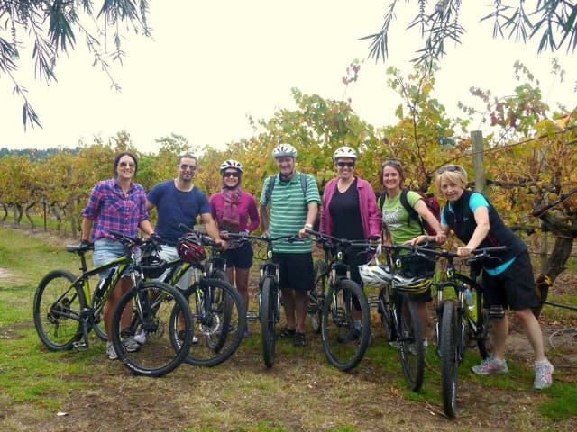McLaren Vale Wine Tours from Adelaide: Tastings & Views