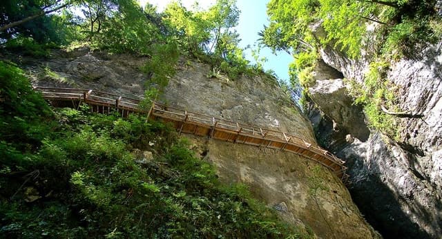From Bled: Half-Day Pokljuka Gorge Trail Hike (Private)