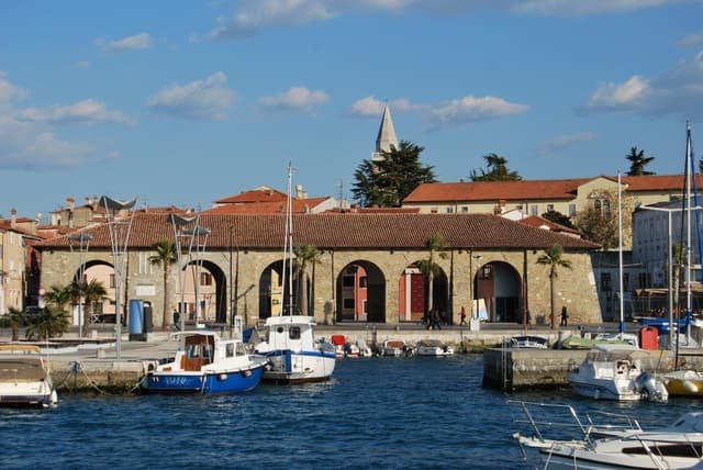 Best Koper Walking Tours & Guides