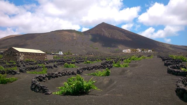 Lanzarote: La Geria Vineyards Hiking Tour