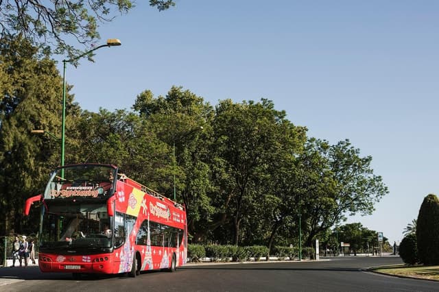 Best Potsdam Sightseeing: Hop-On Hop-Off Bus Tour