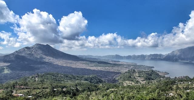 From Ubud: Downhill Bike Tour with Rice Terraces and Meal