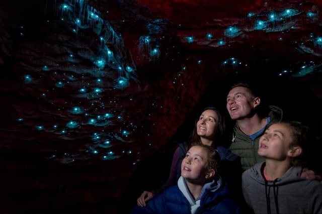 Magical Te Anau Glowworm Caves: A Must-See NZ Adventure