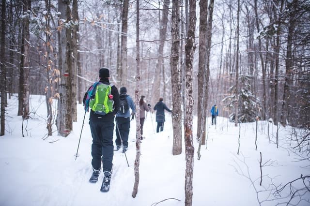 Skiing Adventures in Jacques-Cartier National Park, Quebec