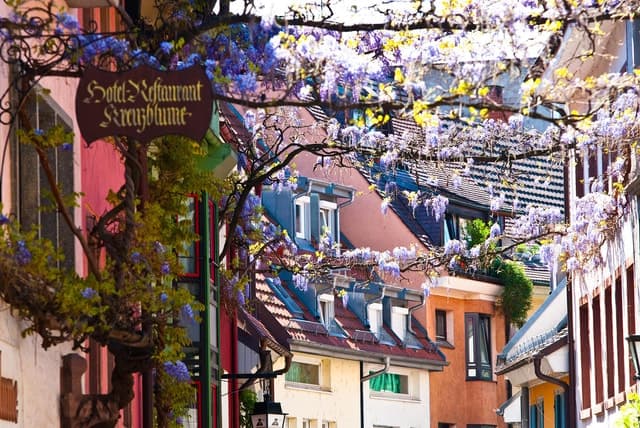 Best Freiburg City Tours: Explore Top Local Attractions