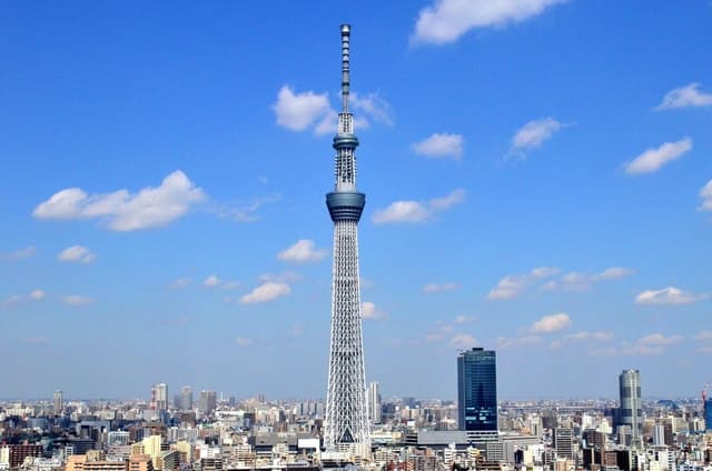 Tokyo: Meiji Shrine, Asakusa, Skytree Bus Tour and Cruise