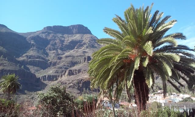 Best Gran Canaria Highlights: Top Island Experiences