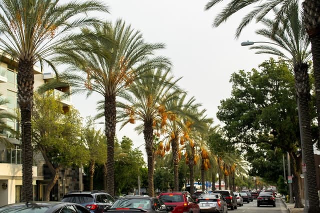 Los Angeles: Custom 3-Hour Private Car Tour with Local Guide