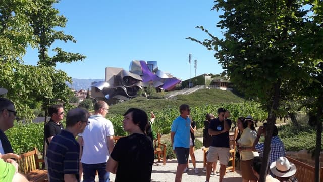Best Rioja Wine Tours in La Rioja, Spain