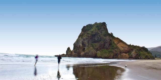 Auckland Piha Beach and Rainforest Tour