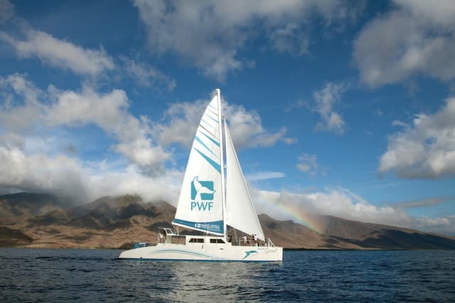 Maui: Honolua Bay Snorkel Sail from Lahaina Harbor