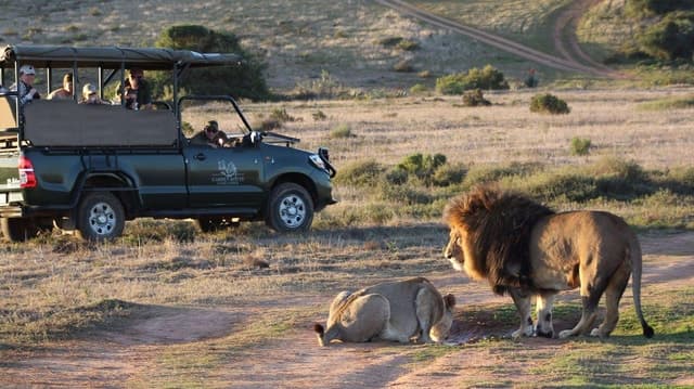 Compare Top Garden Route Tours from Cape Town