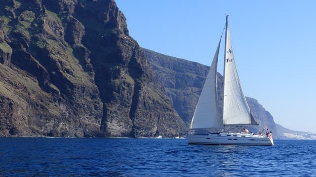 Best Whale Watching Tours in Los Gigantes, Tenerife