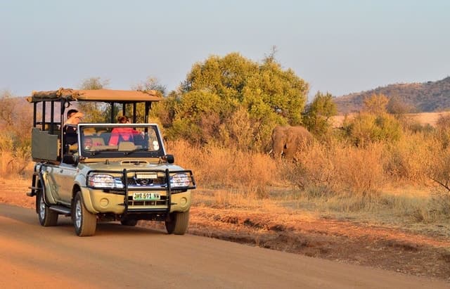 From JNB: Pilanesberg Safari incl. Lunch Full day