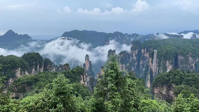 Zhangjiajie National Forest Park: Private Tour and Transport