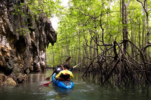 Krabi: Private Sea Kayaking in Ao Thalane and Hong Island